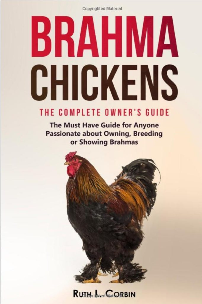 Brahma Chickens Complete Owners Guide